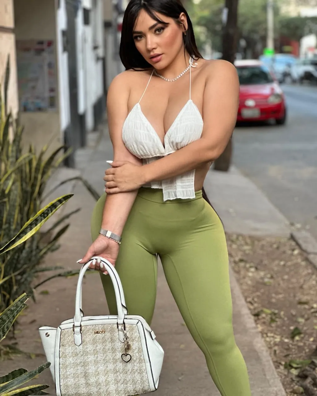 ashley carolina preview