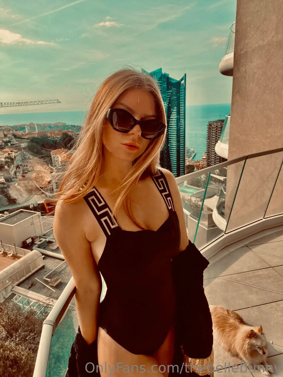 bellabluebunny preview