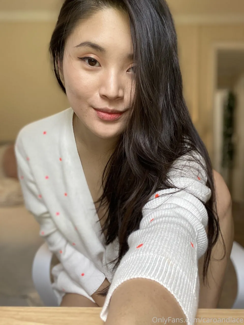 caroandlace preview
