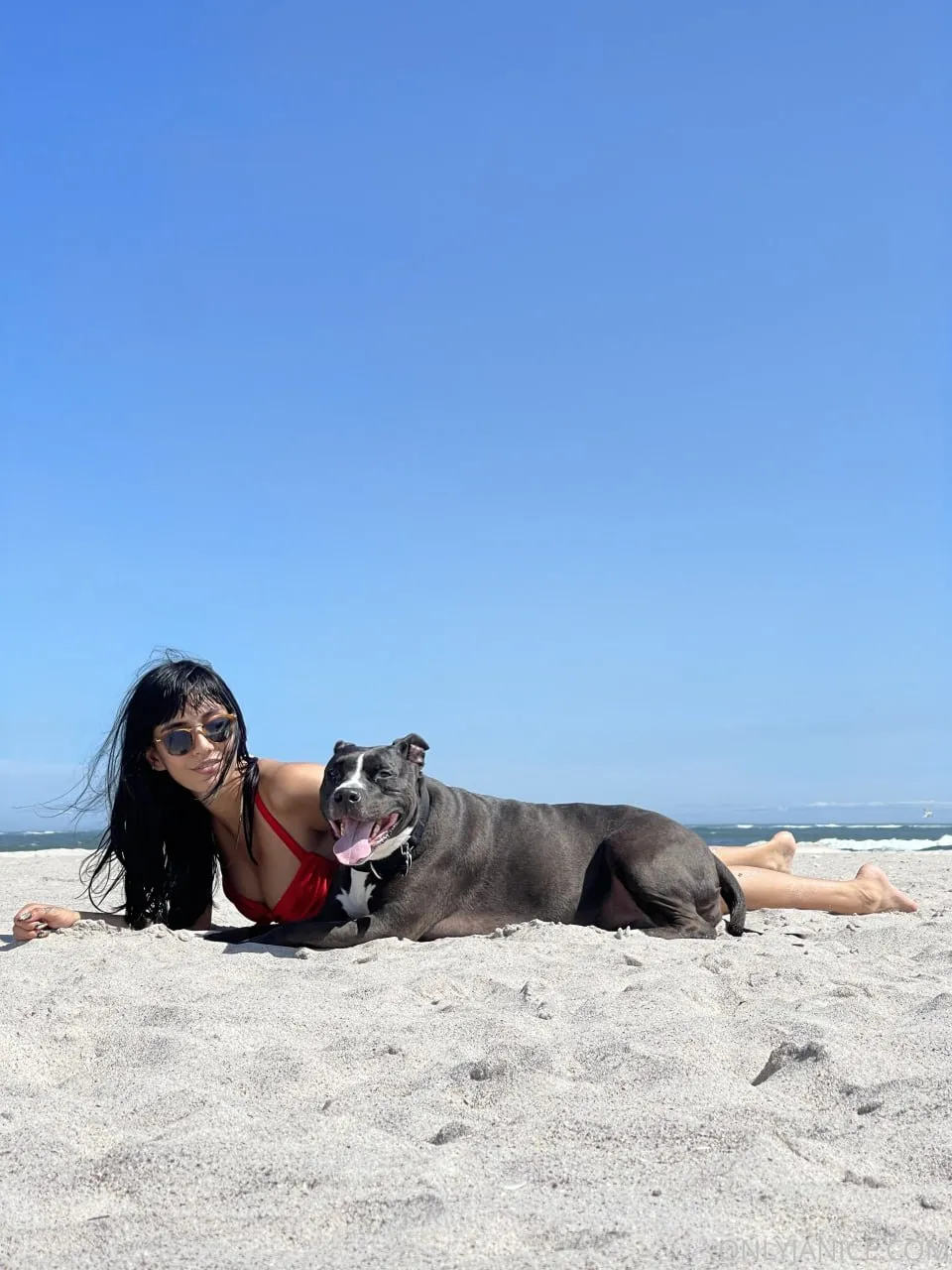 janice griffith preview