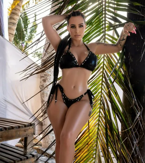 moneybirdette preview